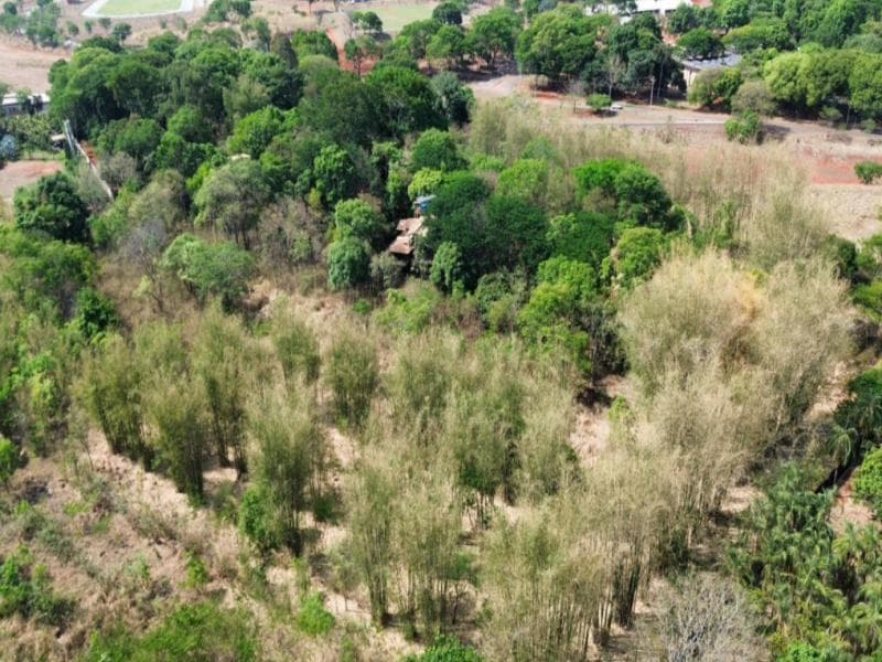 Foto 1 de 3: Area Rural em leilão em Goiânia - GO — Area, 42350.0 m2, Goiânia / GO
