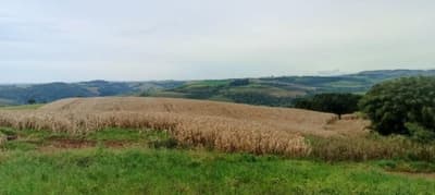 Foto 4 de 7: Area Rural em leilão em Renascença - PR — Fazenda Marmeleiro/PR