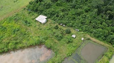 Foto 7 de 7: Area Rural em leilão em Alta Floresta D'oeste - RO — IMÓVEL RURAL COM 11,6614HA, SETOR PARECIS EM ALTA FLORESTA D'OESTE/RO.