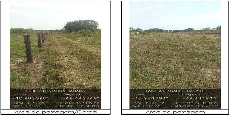 Foto 3 de 4: Area Rural em leilão em Santa Rita Do Tocantins - TO — IMÓVEL RURAL | 48.3351 HA - PECUÁRIA | SANTA RITA DO TOCANTINS/TO