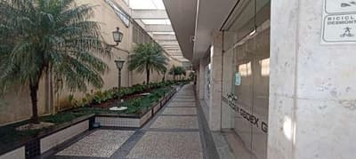 Foto 8 de 9: Comercial em leilão em Curitiba - PR — Salão n° 3, do Edifício Santos Andrade, Curitiba/PR