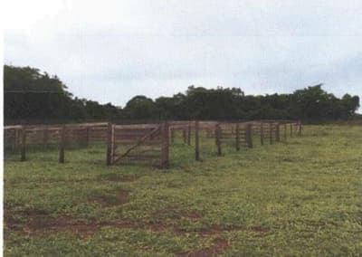 Foto 2 de 9: Area Rural em leilão em Bela Vista De Goiás - GO — IMÓVEIS RURAIS- VENDA CONJUNTA DE DUAS MATRICULAS- Em GOIAS/GO