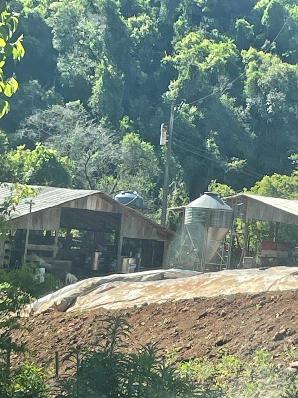 Foto 5 de 6: Terreno em leilão em Anchieta - SC — IMÓVEL RURAL COM ÁREA DE 4,84 ha EM ANCHIETA-SC
