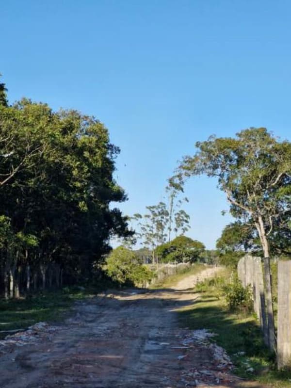 Foto 3 de 4: Terreno em leilão em São Francisco Do Sul - SC — Terras rurais com área de 67.905,74m² - São Francisco do Sul/SC