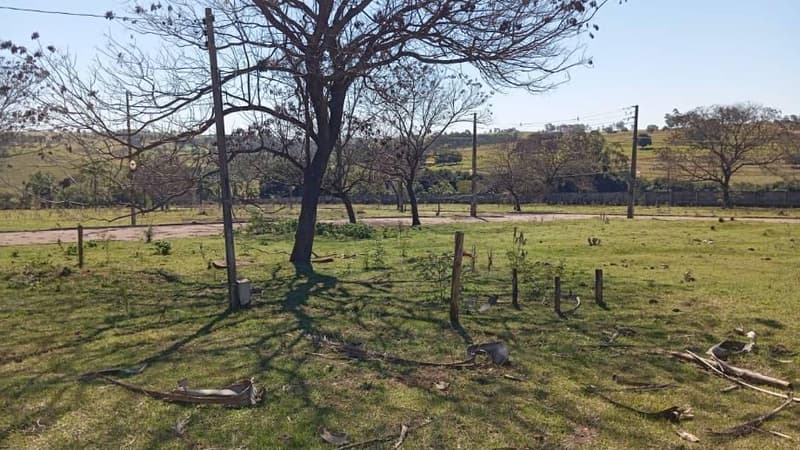 Foto 6 de 10: Terreno em leilão em Pérola - PR — Lote, 831.12 m2, Desocupado, Pérola / PR (65% abaixo da avaliação)