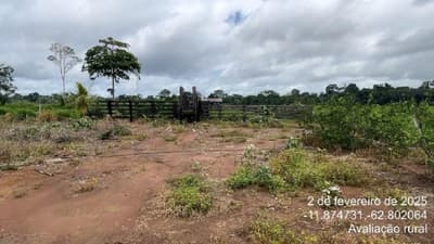 Foto 10 de 11: Area Rural em leilão em São Miguel Do Guaporé - RO — IMÓVEL RURAL - SÍTIO DOIS IRMÃOS DE 12,0919HA - SÃO MIGUEL DO GUAPORÉ/RO