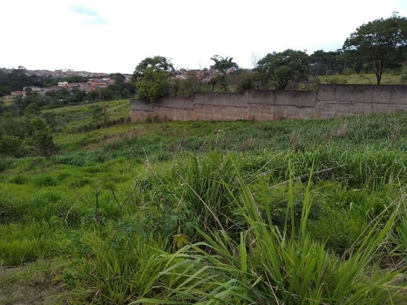 Foto 8 de 15: Terreno em leilão em Limeira - SP — Lote, Desocupado, Limeira / SP