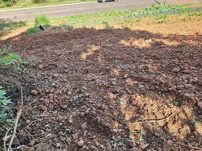 Foto 7 de 7: Terreno em leilão em Vista Gaúcha - RS — LOTE URBANO Nº 7 DA QUADRA 28, COM A ÁREA SUPERFICIAL DE 296,98M² SITUADO NA CIDADE DE VISTA GAÚCHA/RS