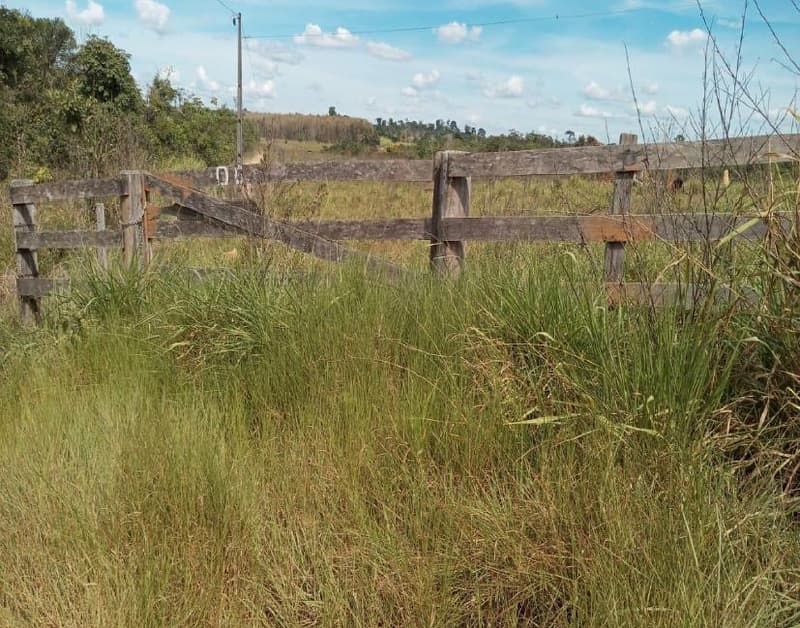 Area Rural em leilão em Apiacás - MT — IMÓVEL RURAL - 98,614HA - ESTÂNCIA SOUZA III EM APIACÁS/MT - EXPLORAÇÃO AGROPECUÁRIA COM BENFEITORIAS