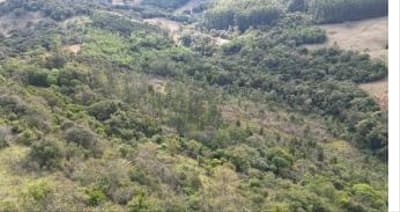 Foto 7 de 11: Area Rural em leilão em Quedas Do Iguaçu - PR, bairro Jardim Alegre — IMÓVEL RURAL COM ÁREA TOTAL DE 11,0255 hectares, EM QUEDAS DO IGUAÇU-PR