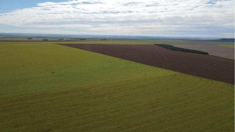 Foto 26 de 30: Area Rural em leilão em Paraíso Das Águas - MS — IMÓVEL RURAL | 400 HA (FRAÇÃO IDEAL) - FAZ. LOTE BAÚS PERDIDO I SECÇÃO B | PLANTIO PARA SOJA E MILHO | PARAÍSO DAS ÁGUAS/MS