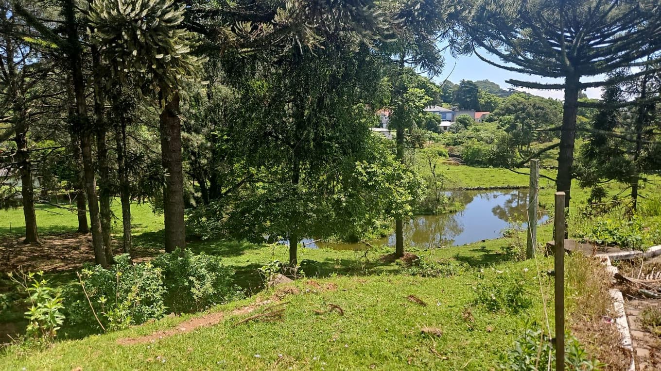 Foto 18 de 18: Comercial em leilão em Nova Petrópolis - RS — COMPLEXO INDUSTRIAL EM NOVA PETRÓPOLIS RS
