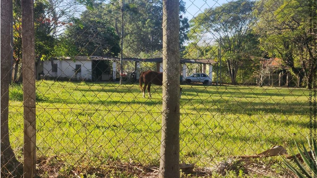 Foto 13 de 16: Area Rural em leilão em Anhembi - SP — Sitio Água Clara (28,5714%), A.T. 3 alq, Dist. Pirambóia