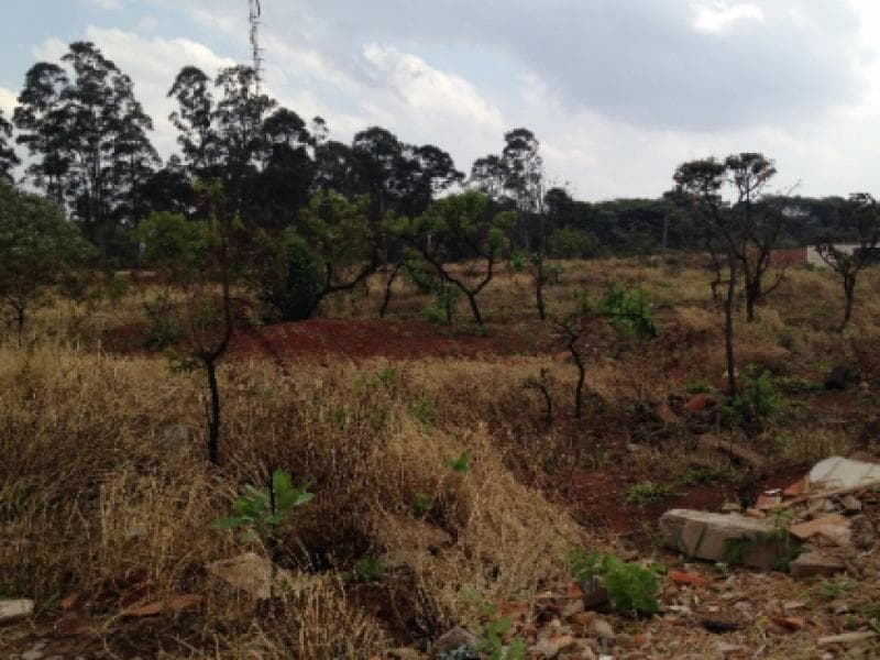 Foto 4 de 4: Terreno em leilão em Araguari - MG, bairro Milenium — Lote, Araguari / MG