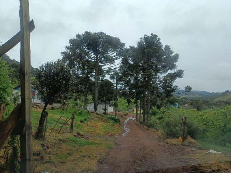 Foto 7 de 16: Area Rural em leilão em São Joaquim - SC — IMÓVEL RURAL COM ÁREA SUPERFICIAL DE 67.085,02 m² EM SÃO JOAQUIM-SC