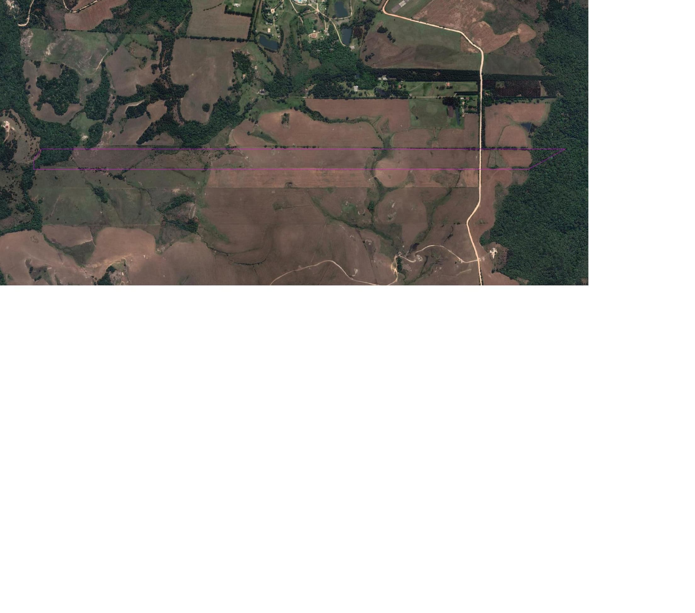 Foto 3 de 5: Area Rural em leilão em Balsa Nova - PR — Fazenda São Carlos, Estrada da Thalia, com 277.090 m² (27,7 hectares) na Serra do Veado em Balsa Nova/PR