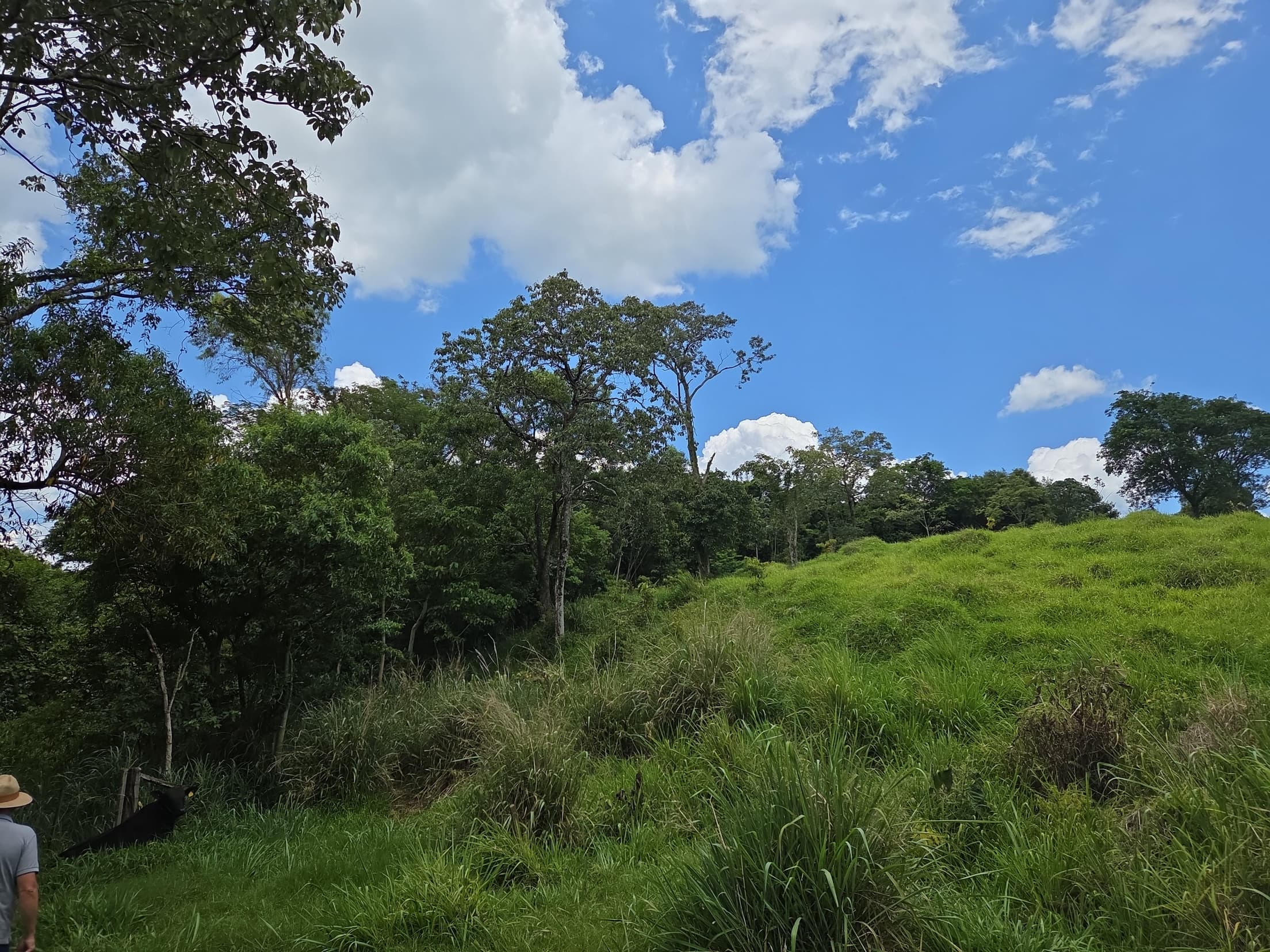 Foto 14 de 20: Area Rural em leilão em Lindoeste - PR — LOTE RURAL Nº 396-A SITUADO NO MUNICÍPIO DE LINDOESTE/PR- ÁREA DE 10,3146 HÁ