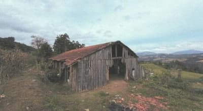 Foto 10 de 14: Area Rural em leilão em Alfredo Wagner - SC, bairro Interior — IMÓVEL RURAL COM ÁREA DE 50.000,00 M2 EM ALFREDO WAGNER-SC