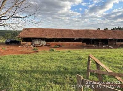 Foto 7 de 19: Area Rural em leilão em Cascavel - PR — Area de terras rural, medindo 18.964,00m², contendo um barracão com área de 820,00 m², silo para ração e poço artesiano.