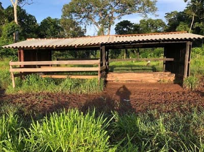 Area Rural em leilão em Alta Floresta D'oeste - RO, bairro Rio Branco — IMÓVEL RURAL | A.T. 51,1094 HA | SETOR RIO BRANCO - SÍTIO NOSSA SENHORA APARECIDA | ALTA FLORESTA DO OESTE/RO