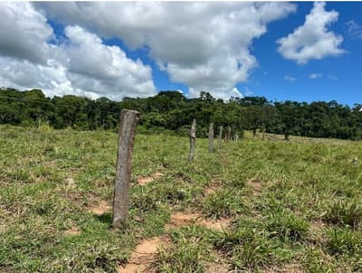 Foto 4 de 10: Area Rural em leilão em Alta Floresta D'oeste - RO — IMÓVEL RURAL | A.T. 49,79 HA | ALTA FLORESTA DOESTE/RO