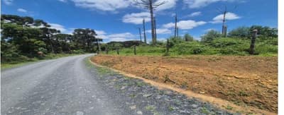 Foto 2 de 4: Area Rural em leilão em São João Do Triunfo - PR — Terreno rural com área de 238.216,113m², situado na Localidade de Pinhalzinho, São João do Triunfo/PR