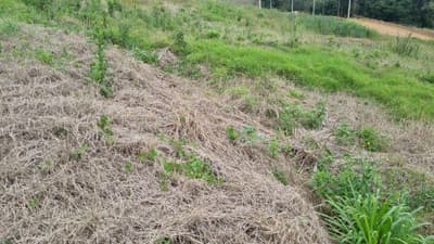 Foto 5 de 5: Terreno em leilão em Saudades - SC — LOTE URBANO Nº 07, DA QUADRA Nº 122, LOCALIZADO EM SAUDADES/SC ÁREA DE 360M²