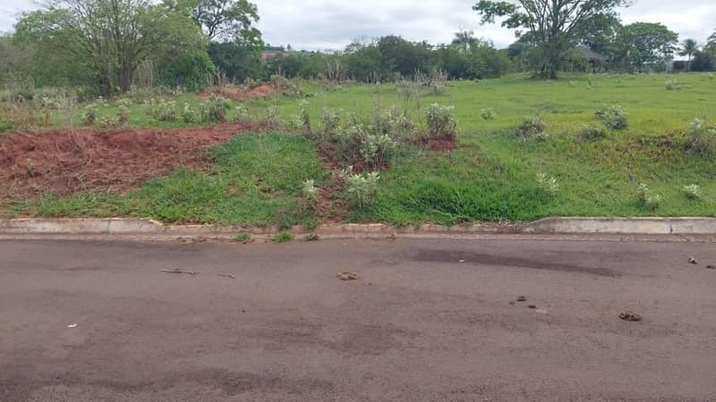 Foto 3 de 4: Terreno em leilão em Pérola - PR — Lote 775m² | DESOCUPADO | Pérola-PR | Pérola - Amplo Terreno com Excelente Topografia - Pagamento Somente à Vista!