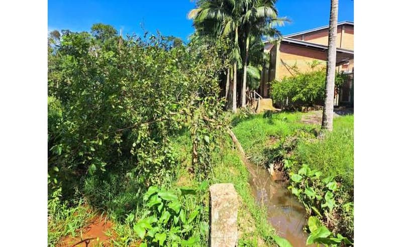 Foto 10 de 64: Terreno em leilão em Blumenau - SC — Um imóvel com área total de 102.114,74m² em Blumenau/SC