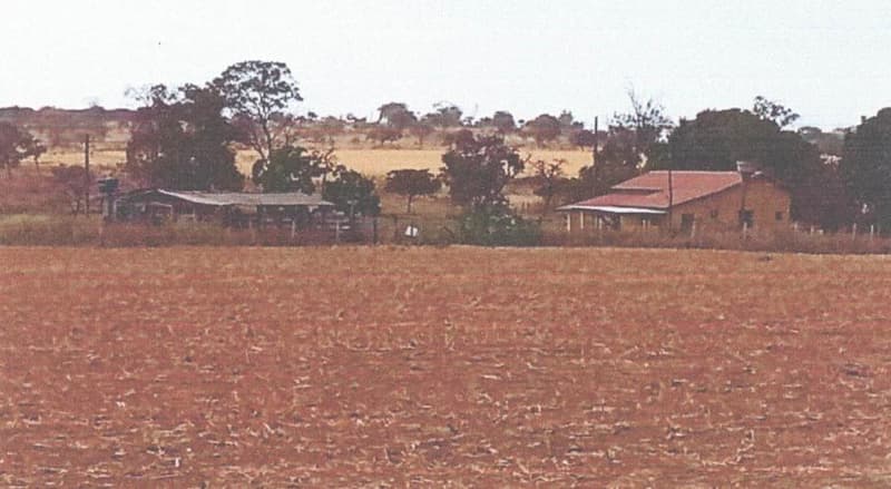Foto 2 de 2: Area Rural em leilão em Bela Vista De Goiás - GO — IMÓVEL RURAL COM ÁREA DE 04.84.00 hectares - EM BELA VISTA DE GOIÁS/GO