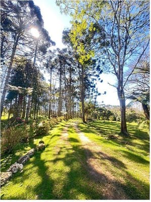 Foto 35 de 35: Area Rural em leilão em São José Dos Pinhais - PR — Sitio com área total de 120.974,16m², localizado Borda do Campo em São José dos Pinhais/PR