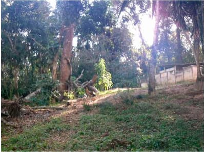 Foto 1 de 9: Terreno em leilão em Embu Das Artes - SP, bairro Chácaras Uirapuru — TERRENO LOTE 19 QUADRA 2 COM AREA 1.372,00m² - CHACARA UIRAPURU