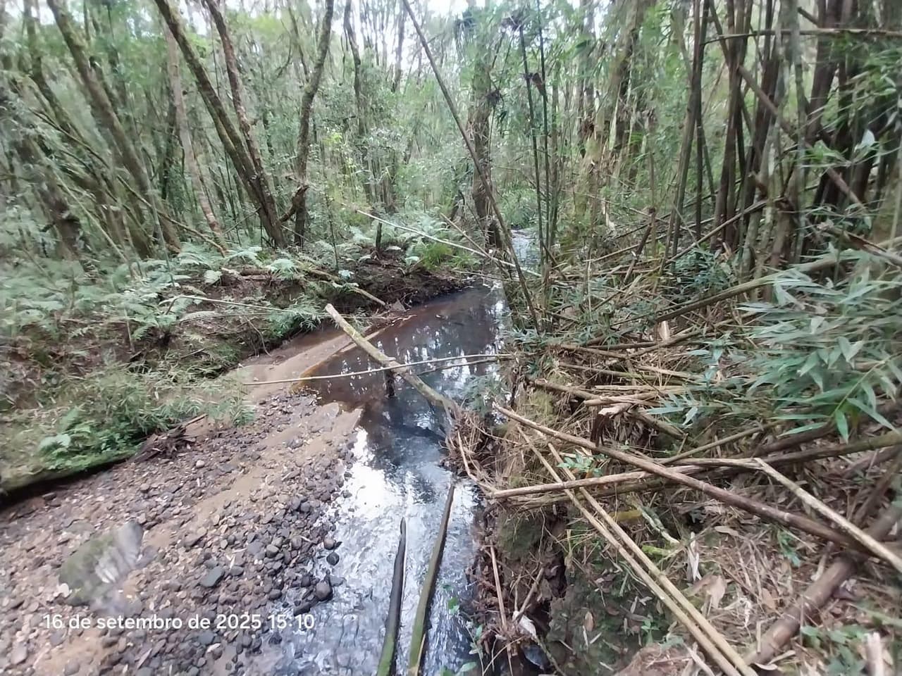 Foto 12 de 31: Area Rural em leilão em Campina Grande Do Sul - PR — Direitos de Posse sobre Chácara de 9,68 Hectares - Campina Grande do Sul/PR