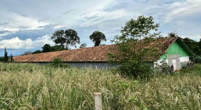 Foto 36 de 40: Area Rural em leilão em Marechal Cândido Rondon - PR — Parte ideal de 55.265,69 m² do Lote Rural 05/A do 19º Perímetro da Fazenda Britânia, situado neste município e comarca de Marechal Candido Rondon/PR