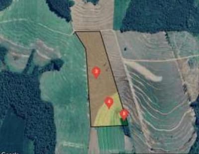 Area Rural em leilão em Janiópolis - PR — IMÓVEL RURAL COM 14.5 ALQUEIRES - JANIÓPOLIS/PR