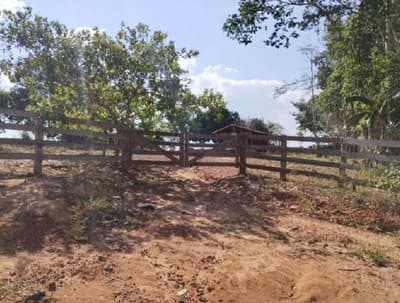 Foto 12 de 13: Area Rural em leilão em Porto Dos Gaúchos - MT — Imóvel Rural com área de 53 hectares - Porto dos Gaúchos/MT