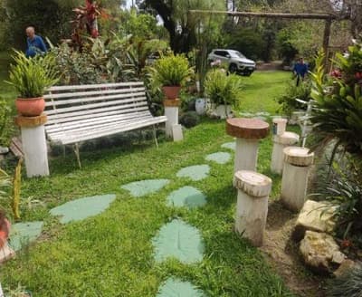 Foto 14 de 26: Area Rural em leilão em São João Do Triunfo - PR — IMÓVEL RURAL COM EXTENSÃO URBANA - ÁREA TOTAL DE 60.726,43 m²-AVENIDA DAS ARAUCÁRIAS-LADEIRA- SÃO JOÃO DO TRIUNFO-PR