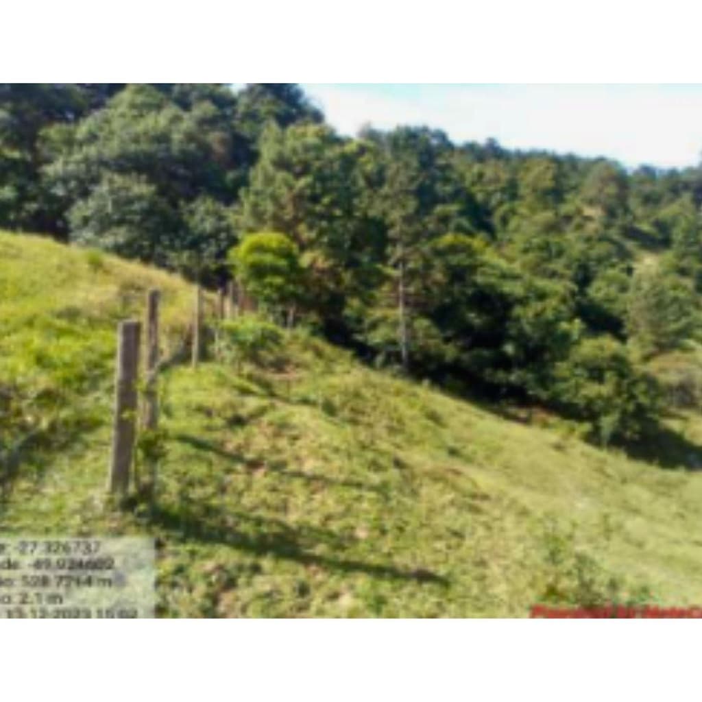 Foto 7 de 7: Area Rural em leilão em Braço Do Trombudo - SC — IMÓVEL RURAL COM ÁREA TOTAL DE 125.000 m2 Em BRAÇO DO TROMBUDO/SC