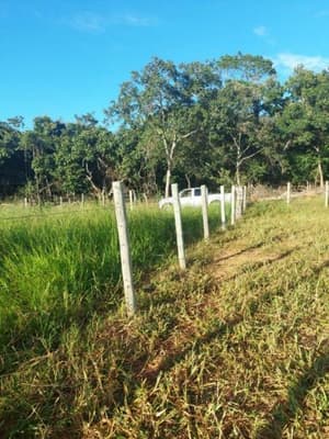 Foto 2 de 6: Area Rural em leilão em Bela Vista De Goiás - GO — IMÓVEL RURAL COM ÁREA DE 20.50.25,85 hectares- Em GOIÁS/GO