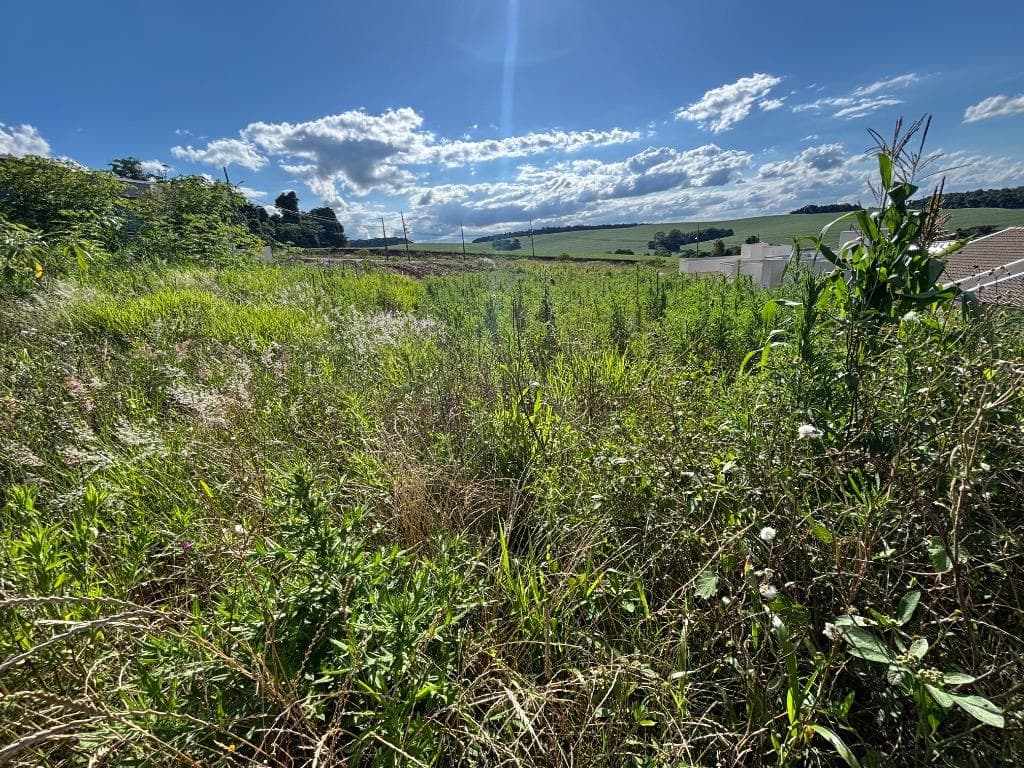 Foto 3 de 8: Terreno em leilão em Pato Branco - PR — TERRENO URBANO COM ÁREA TOTAL DE 296,40 M2 - PATO BRANCO/PR