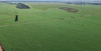 Foto 6 de 9: Area Rural em leilão em Sidrolândia - MS — IMÓVEL RURAL| 159HA FAZENDA MARACANÃ| SIDROLÂNDIA MS - LEILÃO EMPRESARIAL SISTÊMICO SICREDI