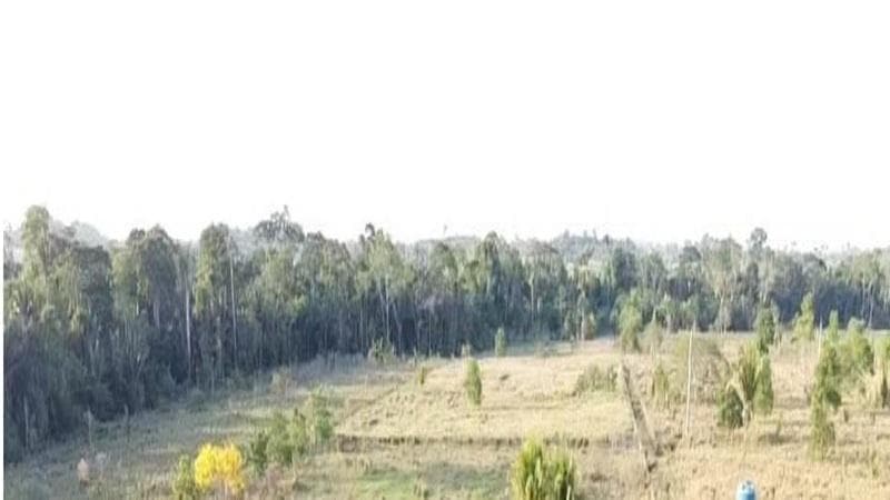 Foto 2 de 6: Area Rural em leilão em Cotriguaçu - MT — IMÓVEL RURAL | 9,32 HA | PECUÁRIA | CHÁCARA LOURENÇO EM COTRIGUAÇU/MT - LEILÃO EMPRESARIAL SISTÊMICO SICREDI