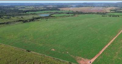 Foto 7 de 9: Area Rural em leilão em Sidrolândia - MS — IMÓVEL RURAL| 159HA FAZENDA MARACANÃ| SIDROLÂNDIA MS - LEILÃO EMPRESARIAL SISTÊMICO SICREDI