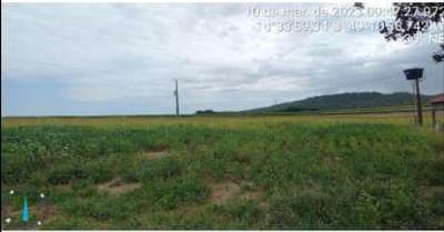 Foto 5 de 14: Area Rural em leilão em Uruaçu - GO — IMÓVEL RURAL | A.T. 58,6288HA FAZ. SANTANA/MACHAMBOMBO OU PASSA-TRÊS (CULTURA DE SOJA) | URUAÇU/GO