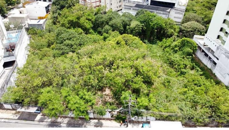 Foto 3 de 4: Terreno em leilão em Salvador - BA — TERRENO COM OTIMA LOCALIZAÇÃO