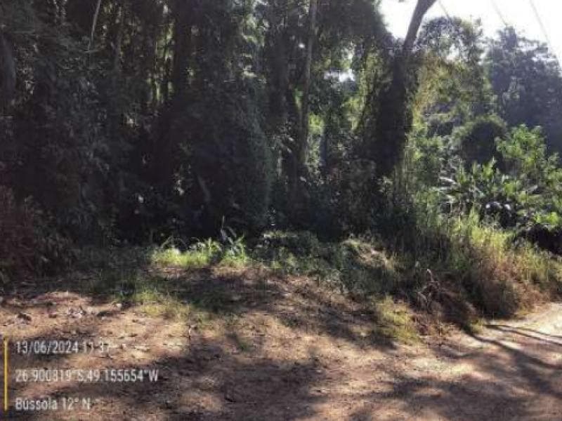 Foto 1 de 11: Terreno em leilão em Blumenau - SC, bairro Passo Manso — Lote, 8708.13 m2, Blumenau / SC