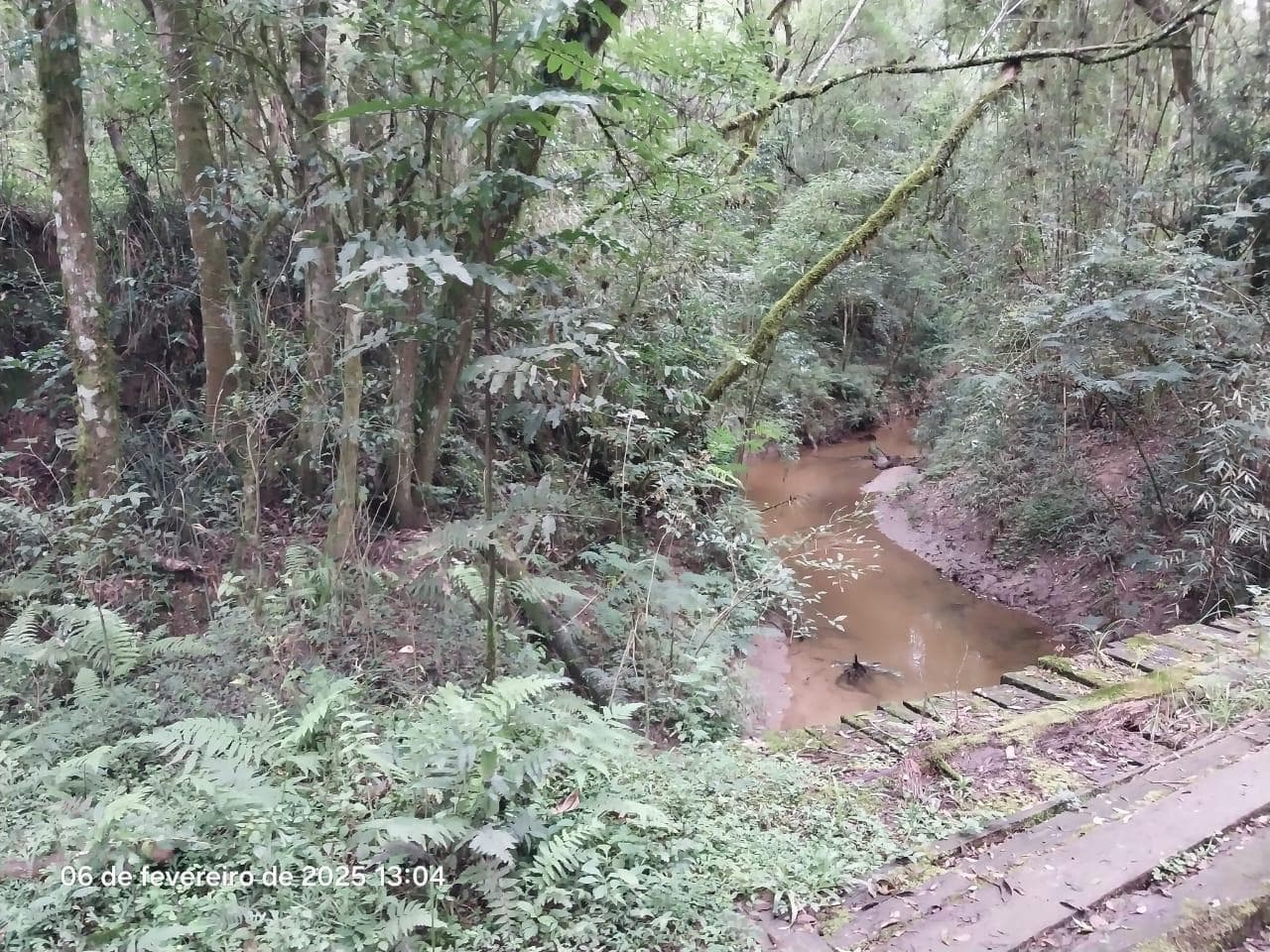 Foto 15 de 18: Area Rural em leilão em Lapa - PR — Terreno rural com a área de 2,0227ha, Lapa/PR