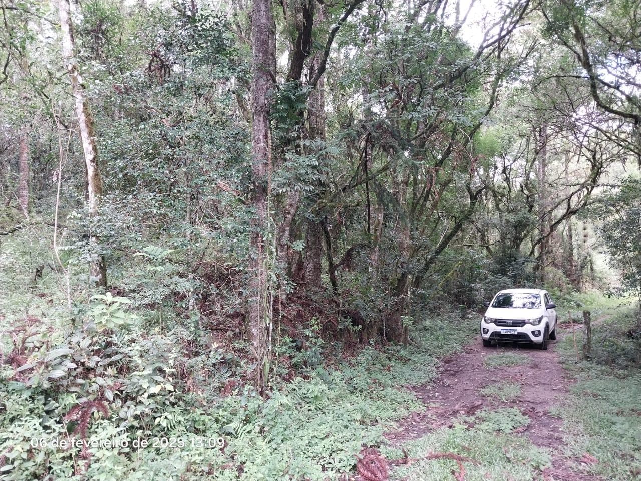 Foto 2 de 18: Area Rural em leilão em Lapa - PR — Terreno rural com a área de 2,0227ha, Lapa/PR