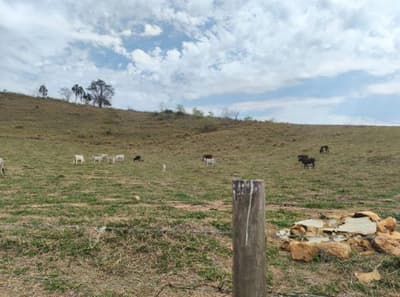 Foto 2 de 3: Area Rural em leilão em Guiricema - MG — IMÓVEL RURAL COM ÁREA TOTAL DE 108.416 m2- Em GUIRICEMA/MG