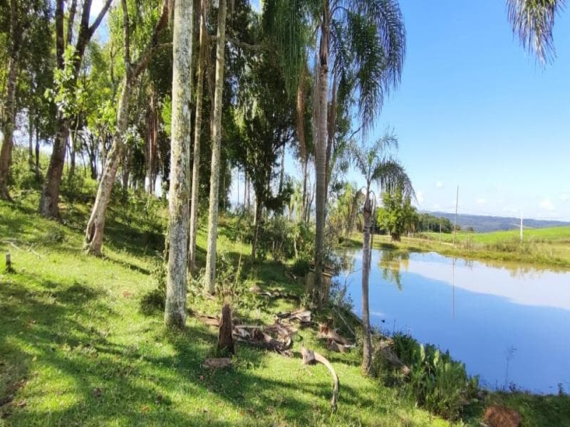 Foto 6 de 8: Area Rural em leilão em Bom Retiro - SC, bairro Costão do Frade — Fazenda, 8.0 ha, Bom Retiro / SC